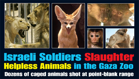 Gaza_zoo